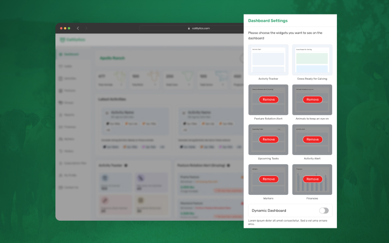 Dashboard customizations