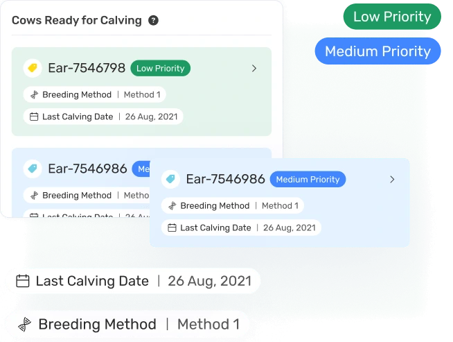 Calving Management