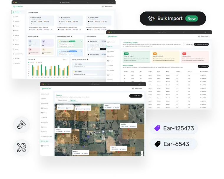 Dashboard screen showcasing how to digitize & track cattle operations